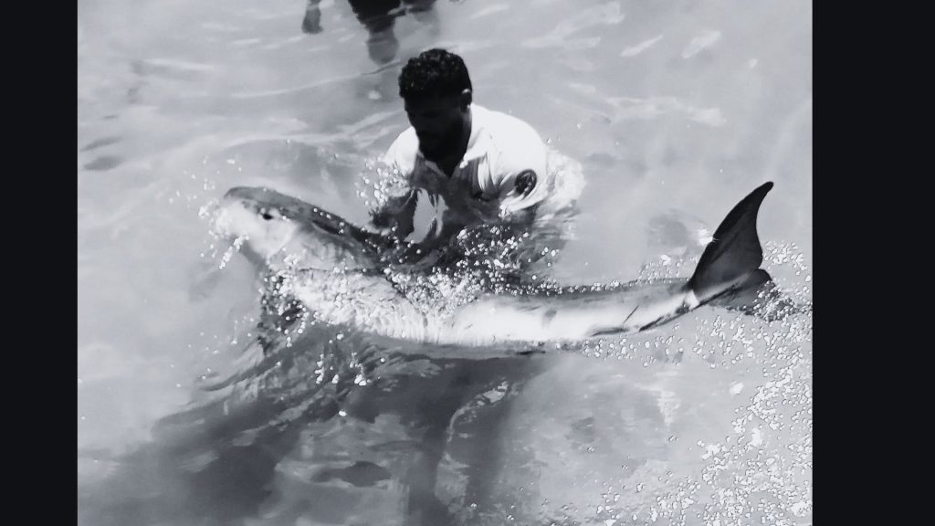 Imagen de cuerpo de nota