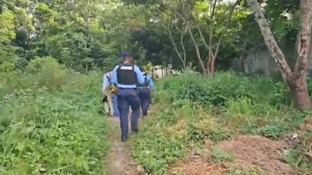 Imagen de cuerpo de nota