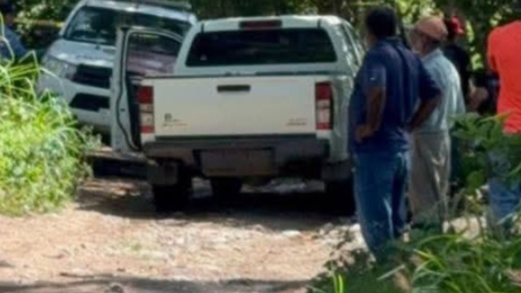 Imagen de cuerpo de nota