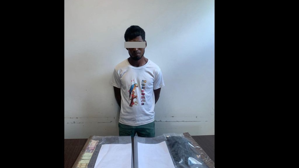 Imagen de cuerpo de nota