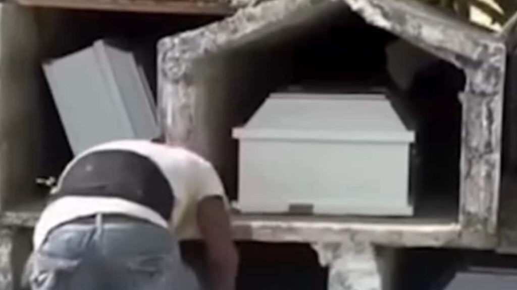 Imagen de cuerpo de nota