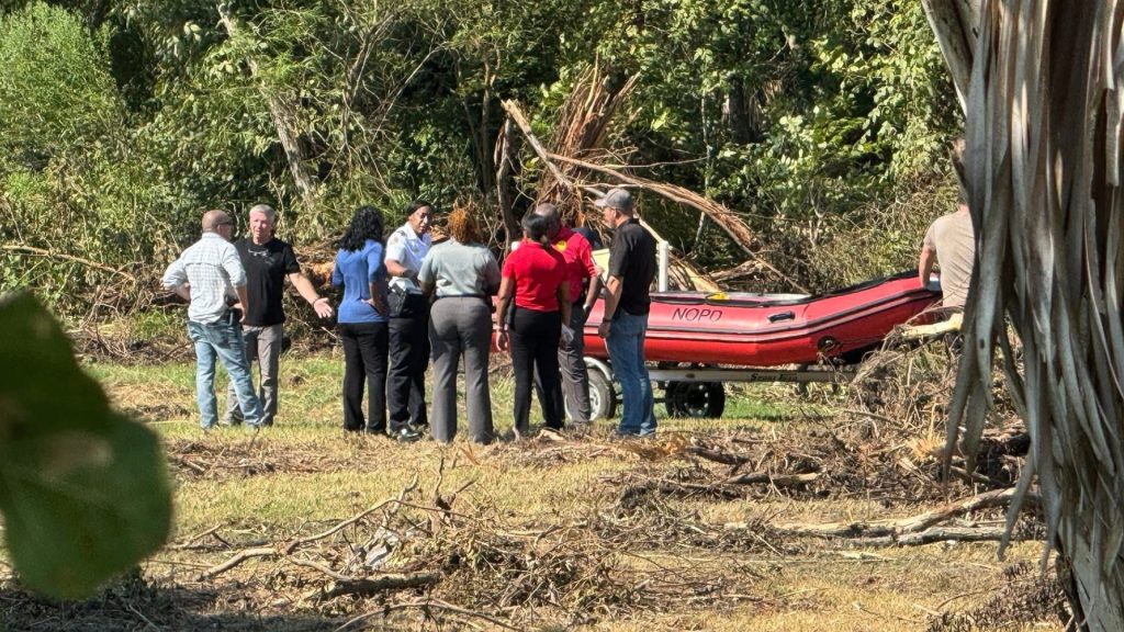 Imagen de cuerpo de nota