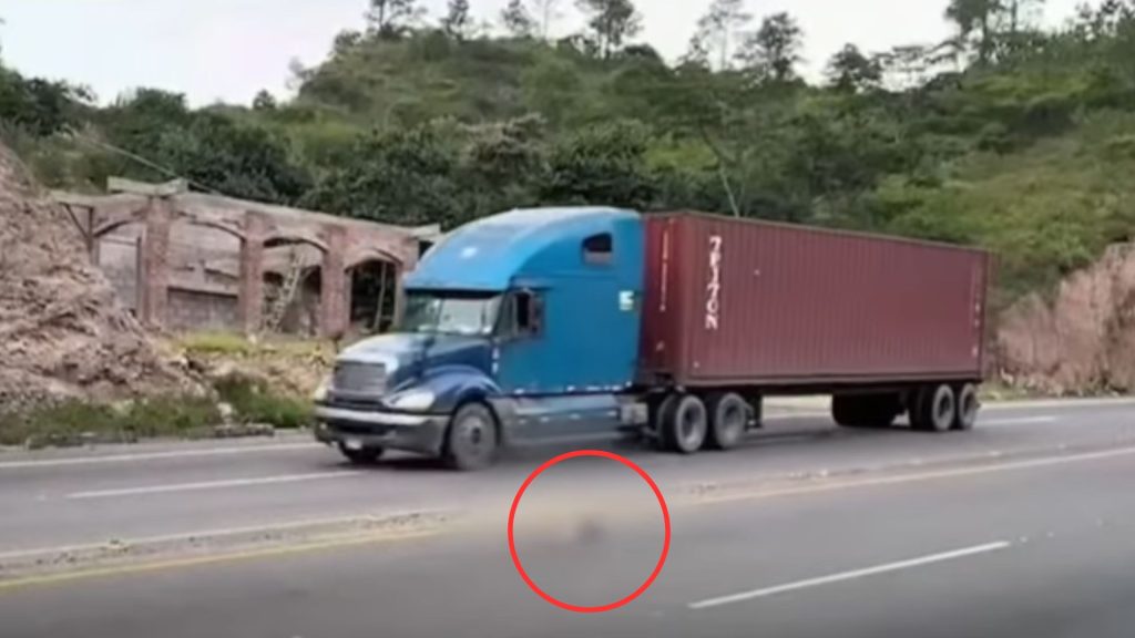 Imagen de cuerpo de nota