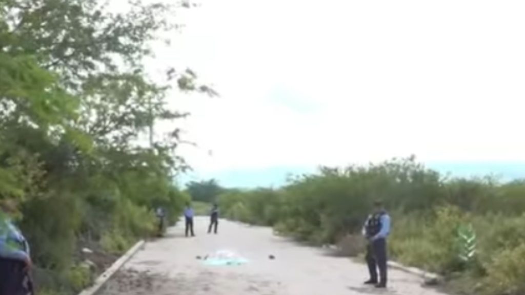 Imagen de cuerpo de nota