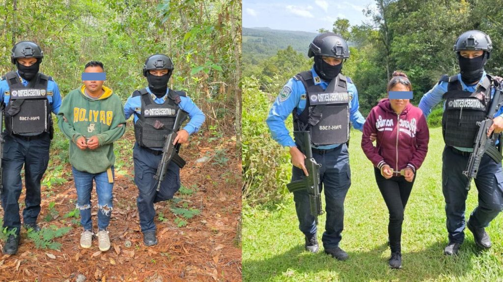 Imagen de cuerpo de nota