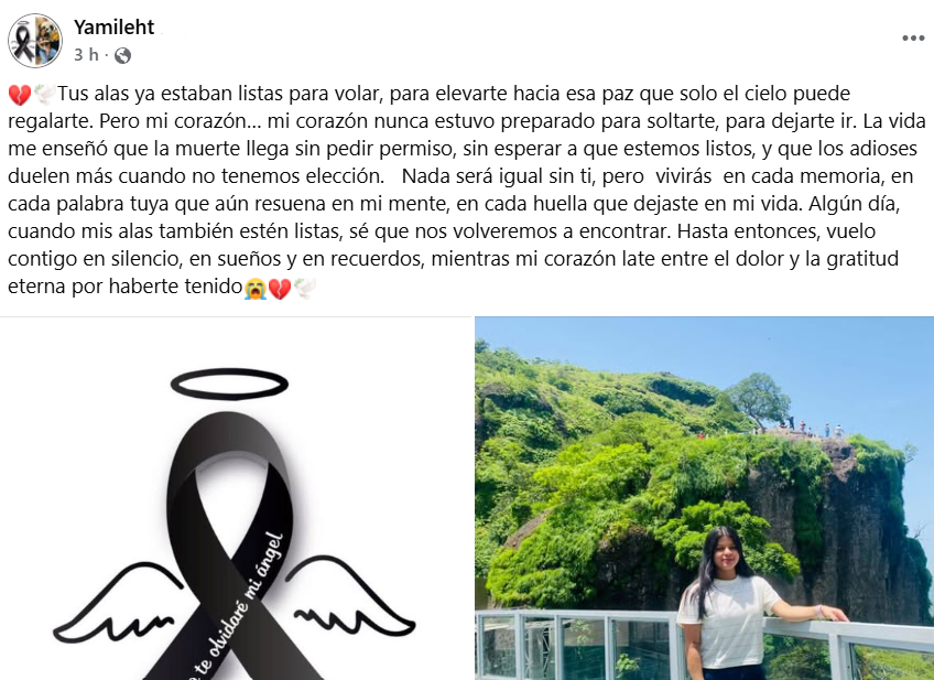 Captura de pantalla de la publicación