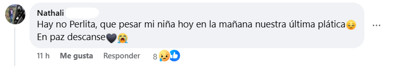 Captura de pantalla del comentario