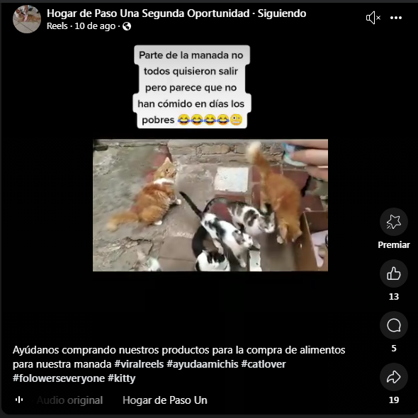 Imagen de cuerpo de nota