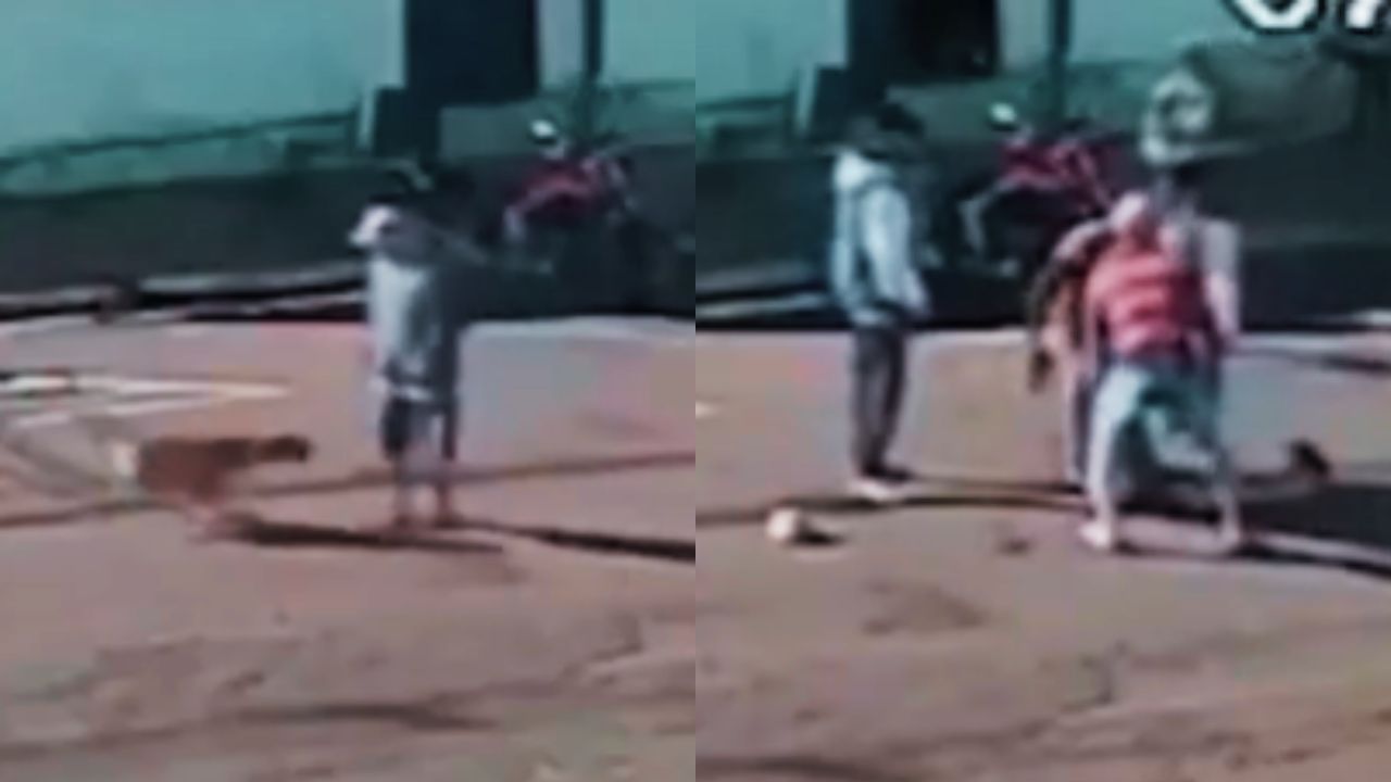 Vídeo sensible: Anciano fue 'atropellado' por un perro y ahora lucha por su vida