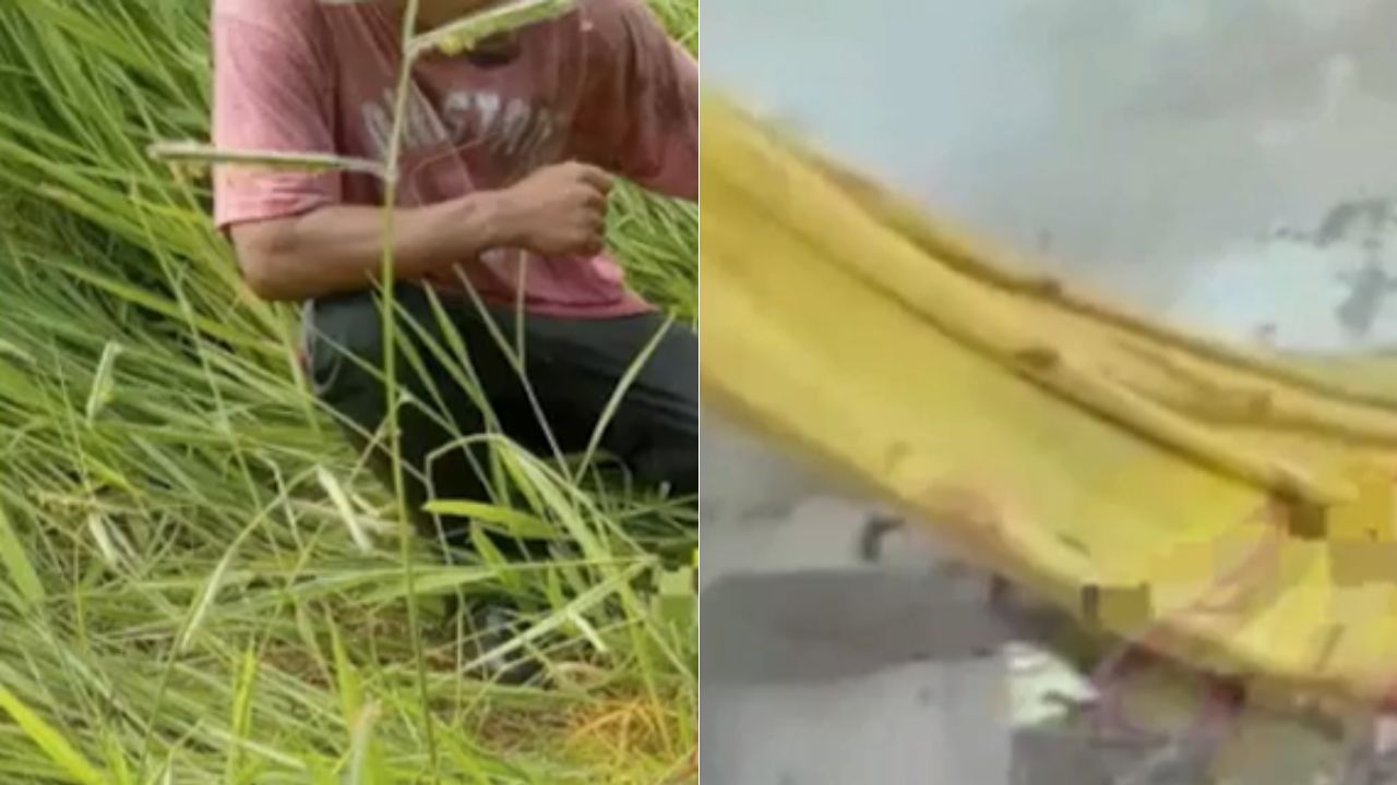 ¿Hondureño mató a machetazos a amante de su pareja al descubrirlos? Esto se sabe