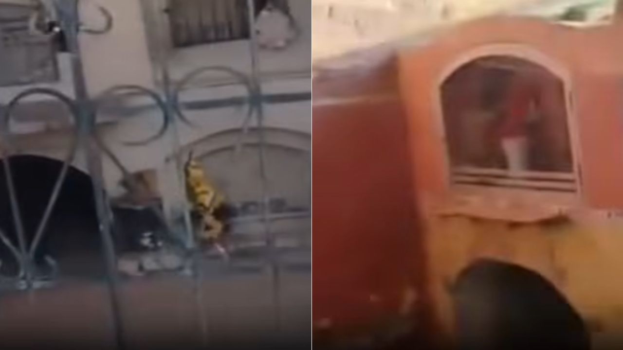 Imagen de VIDEO: Mujer capta a pareja teniendo relaciones en cementerio al visitar una tumba