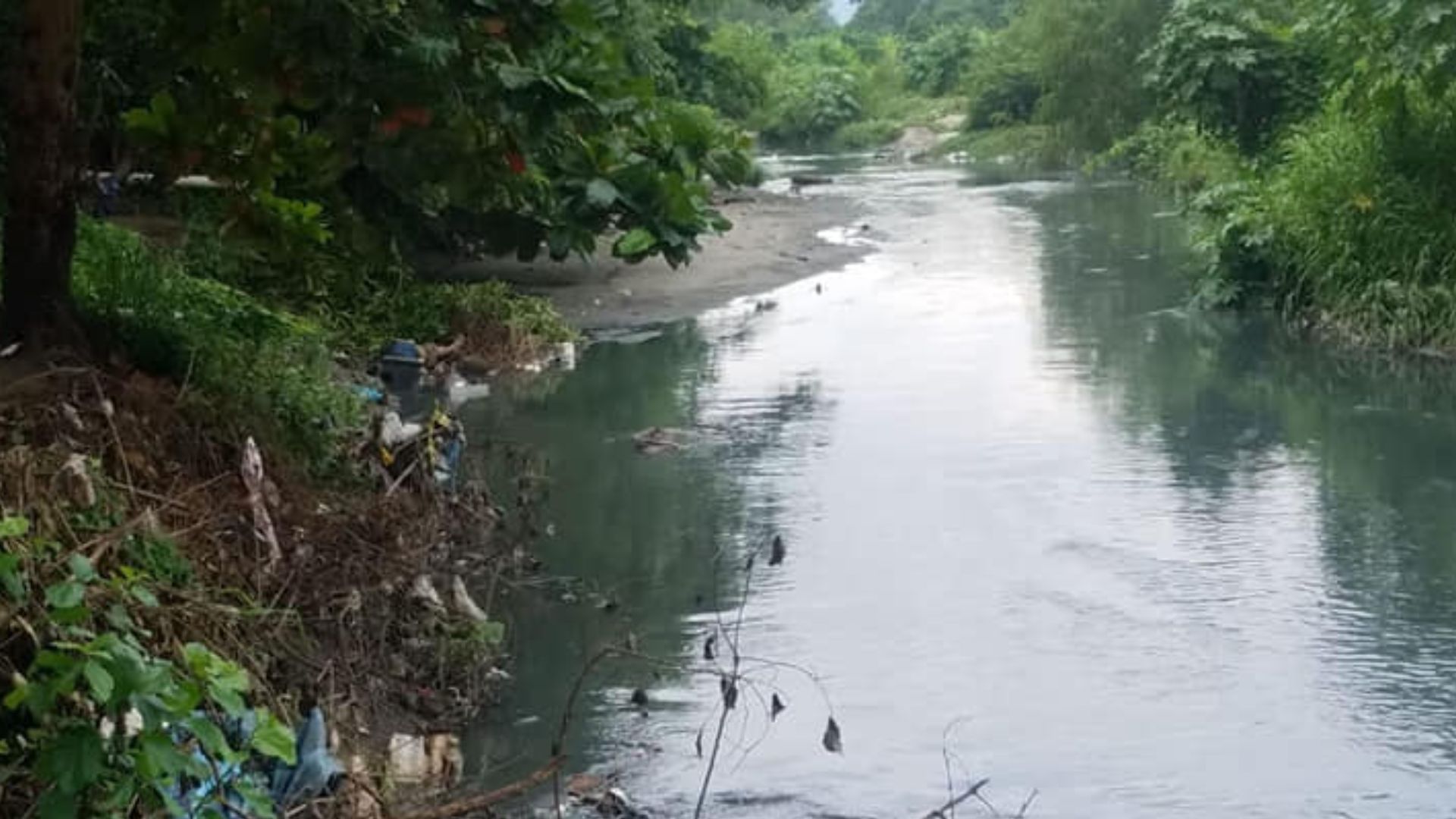 ¿A quiénes pertenecen los cuerpos encontrados en el sector Rivera Hernández?