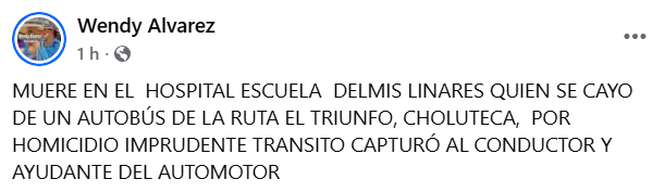 Captura de pantalla de la publicación