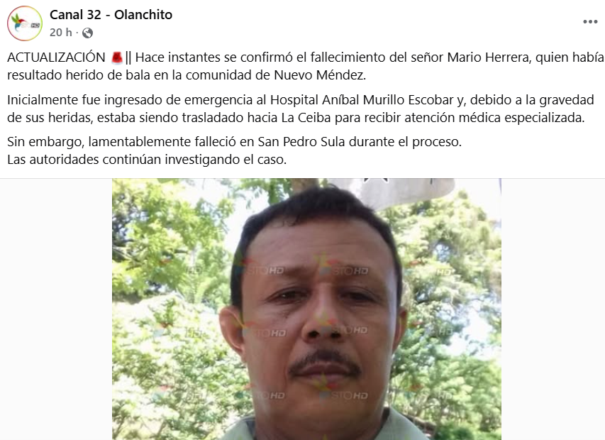 Captura de pantalla de la publicación