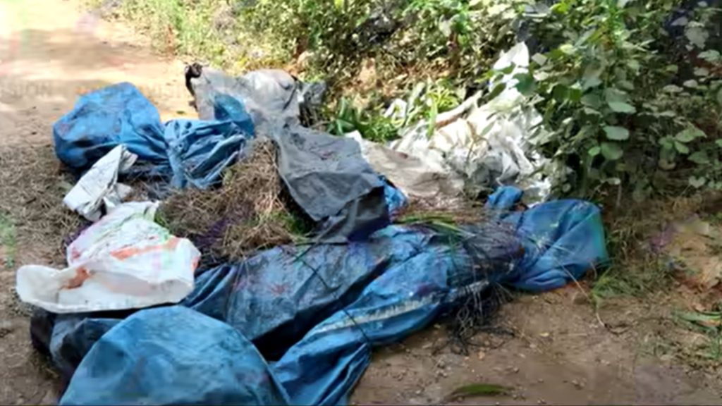 Imagen de cuerpo de nota