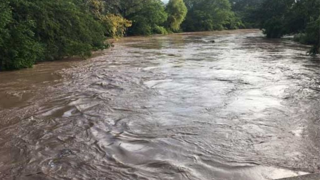 Imagen de cuerpo de nota