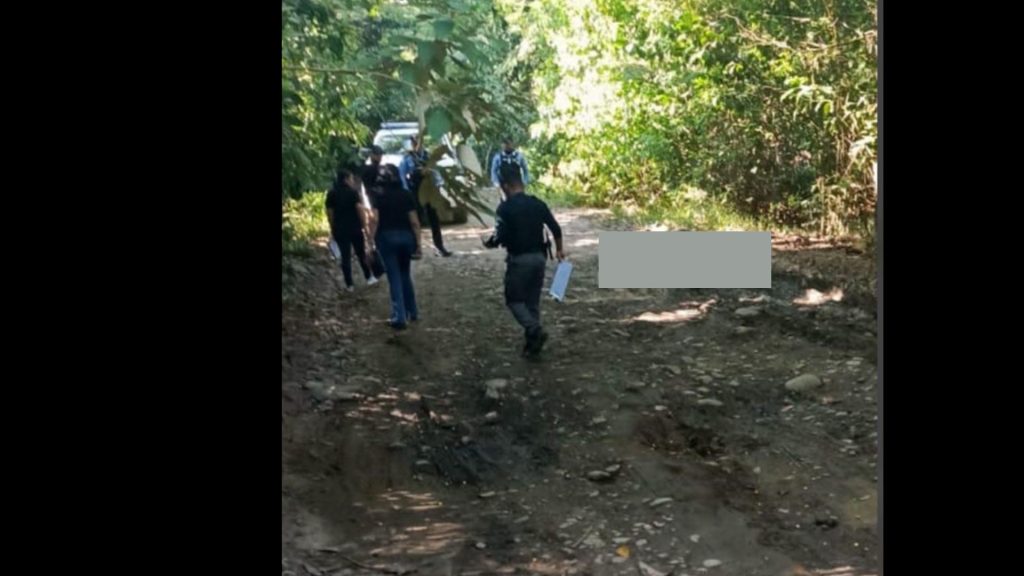 Imagen de cuerpo de nota