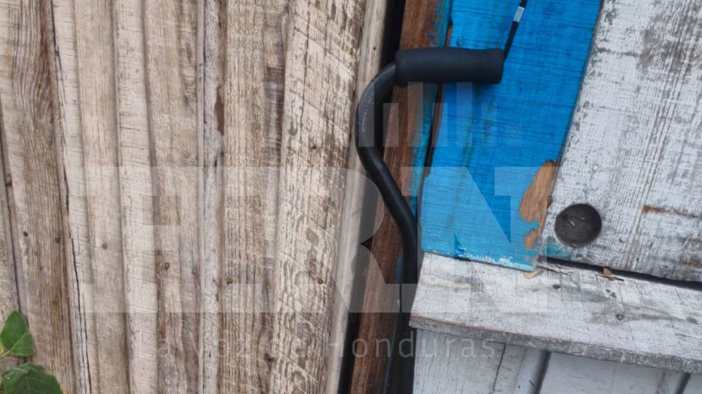 Imagen de cuerpo de nota