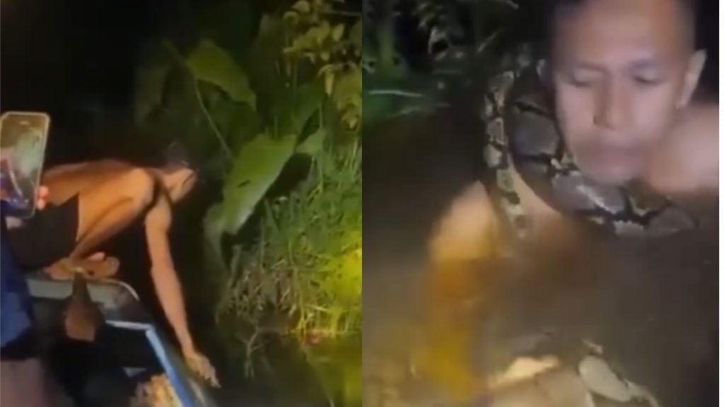 Imagen de cuerpo de nota