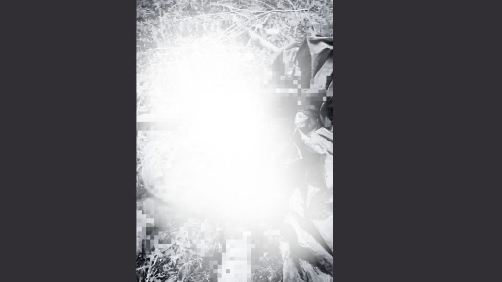 Imagen de cuerpo de nota