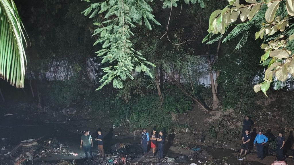 Imagen de cuerpo de nota