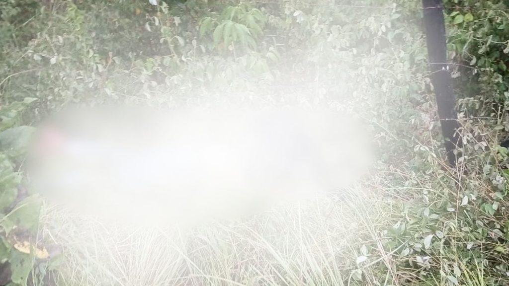 Imagen de cuerpo de nota