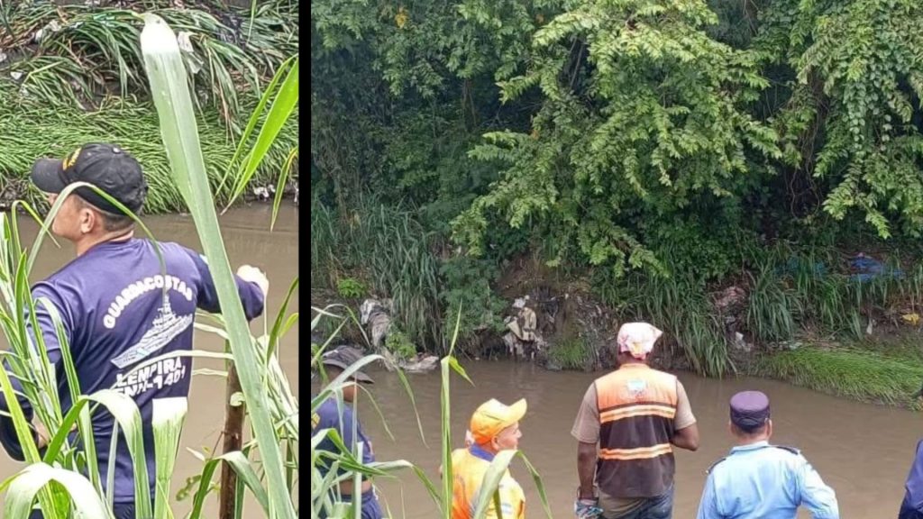 Imagen de cuerpo de nota