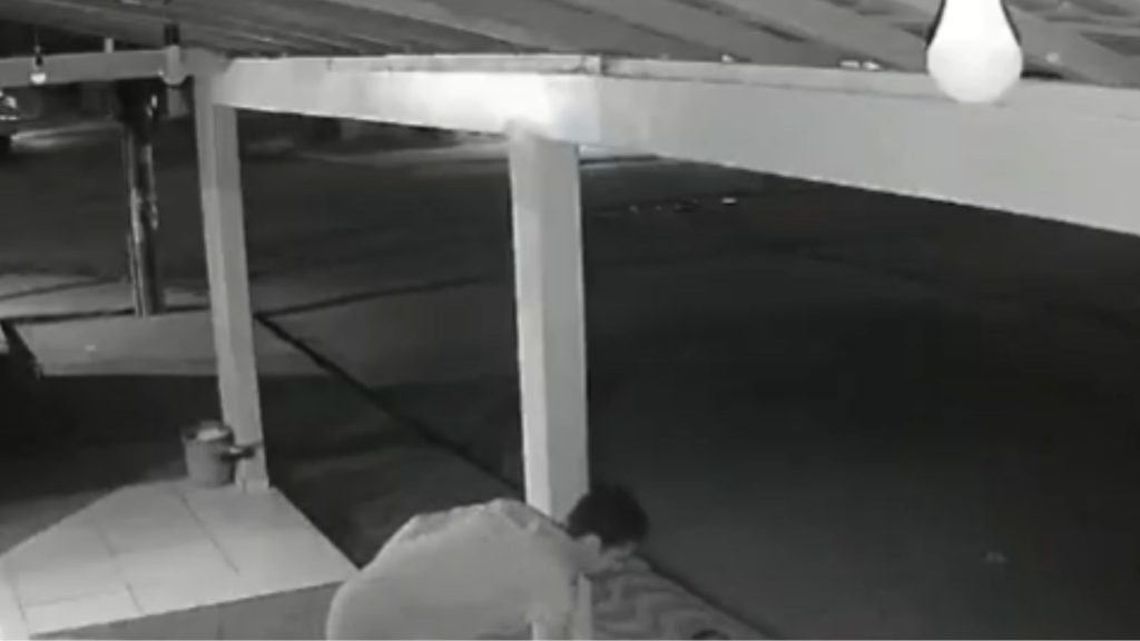 Imagen de cuerpo de nota