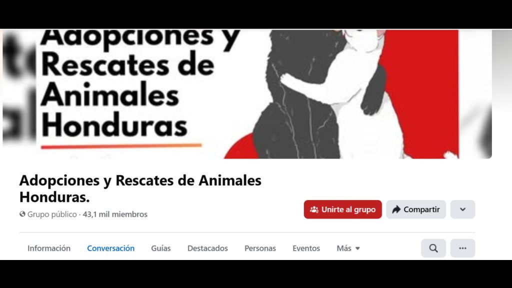 Imagen de cuerpo de nota