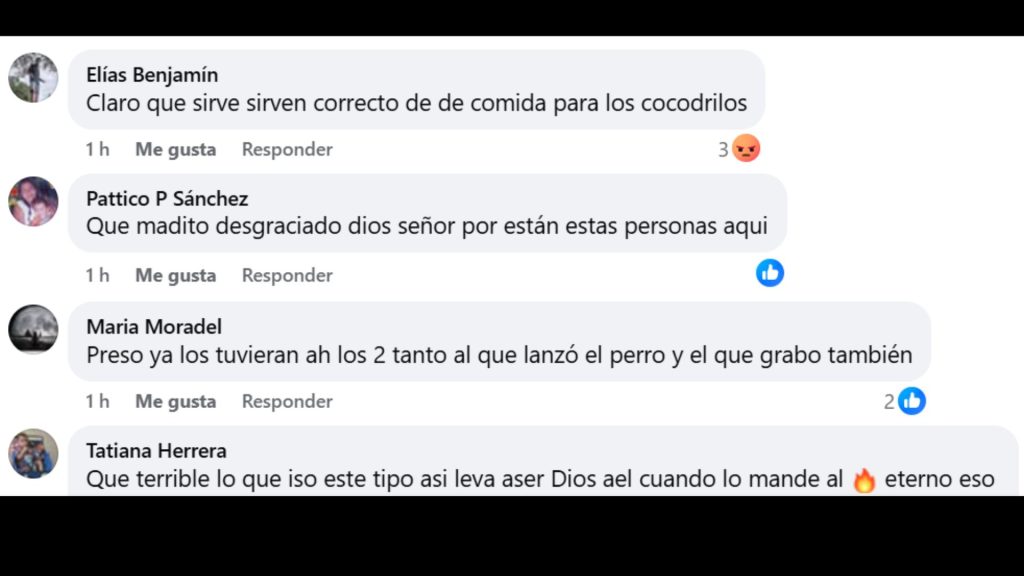 Imagen de cuerpo de nota