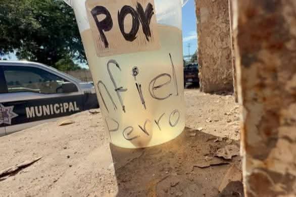 Imagen de cuerpo de nota