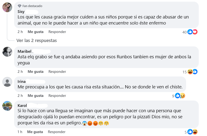 Captura de pantalla de los comentarios