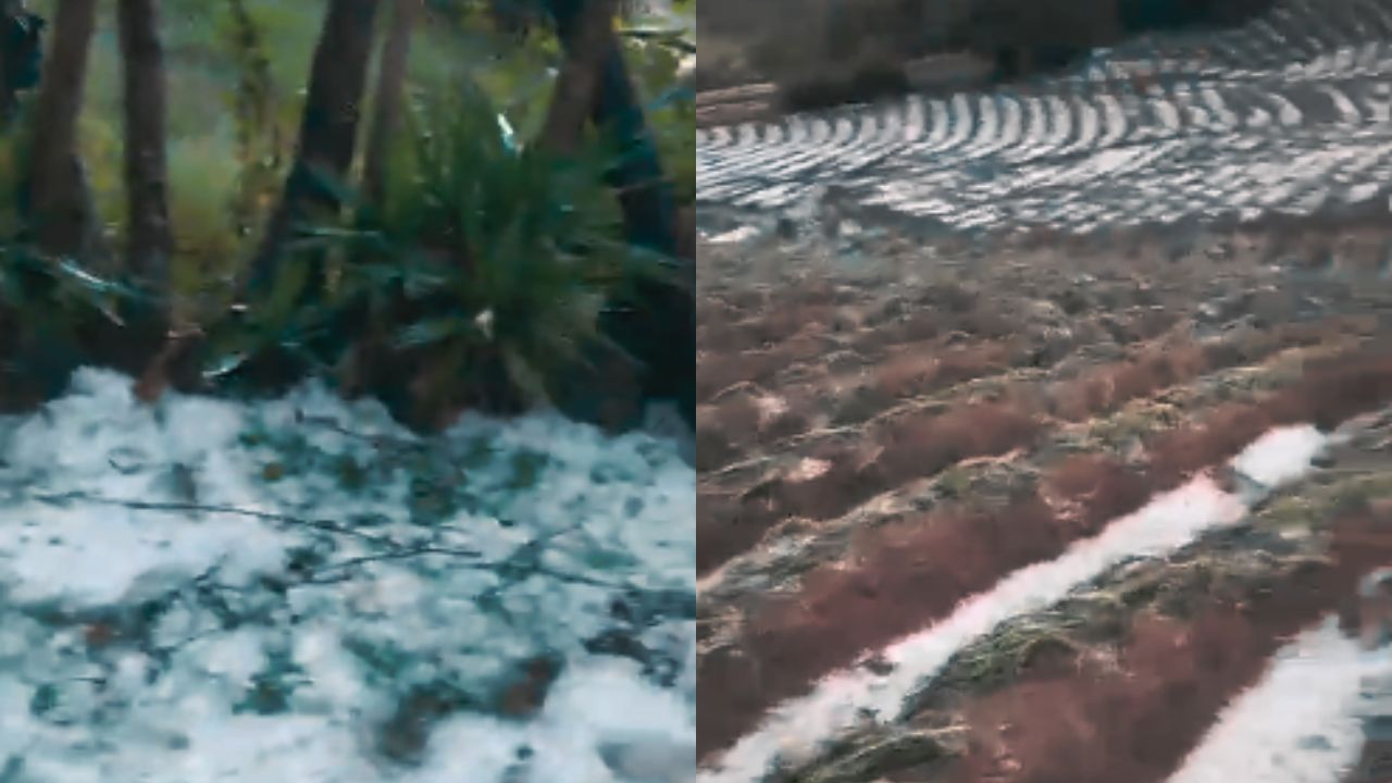 Se registra sorprendente caída de granizo en Intibucá; lamentan pérdida de cosechas