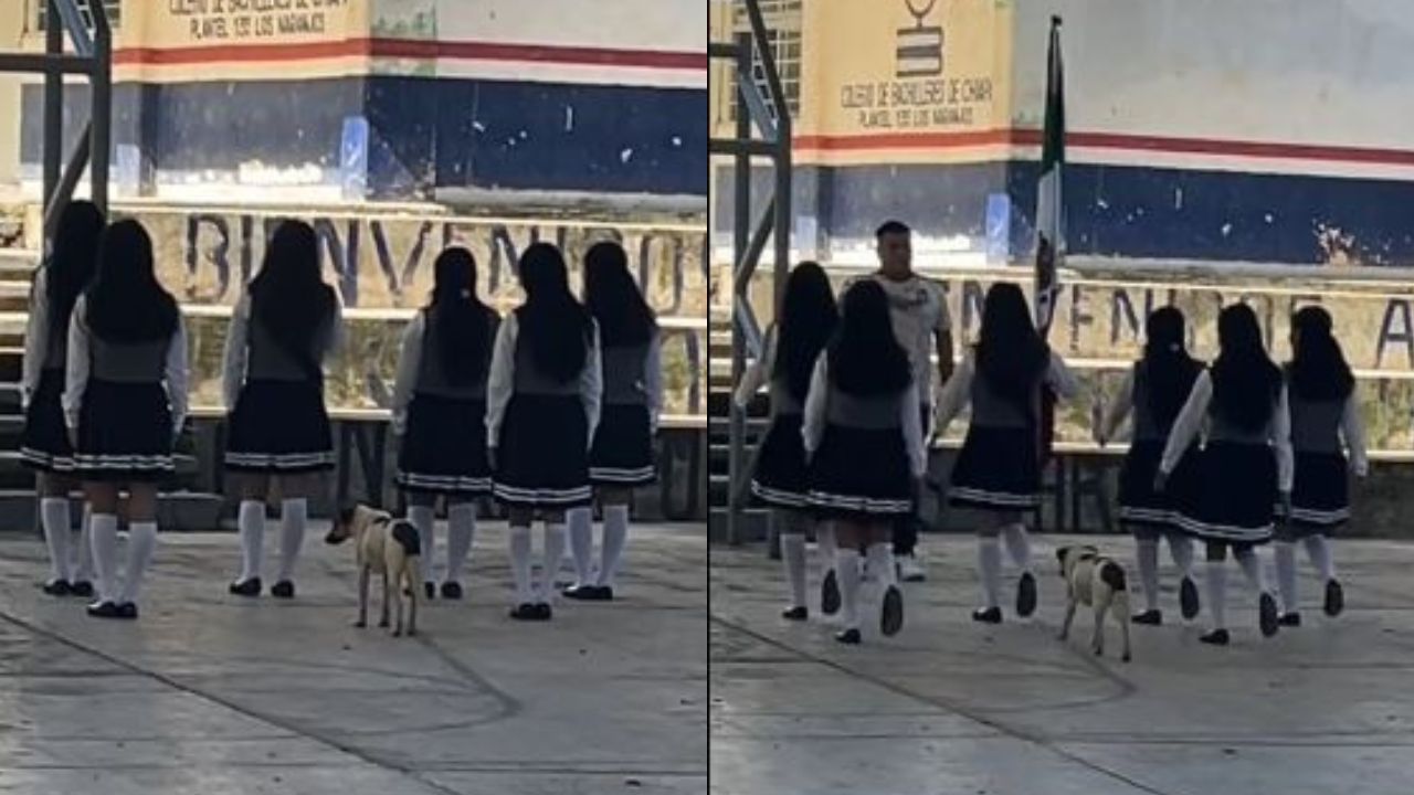 El 'Firulais' más patriótico: perro se roba el show al escoltar Bandera Nacional
