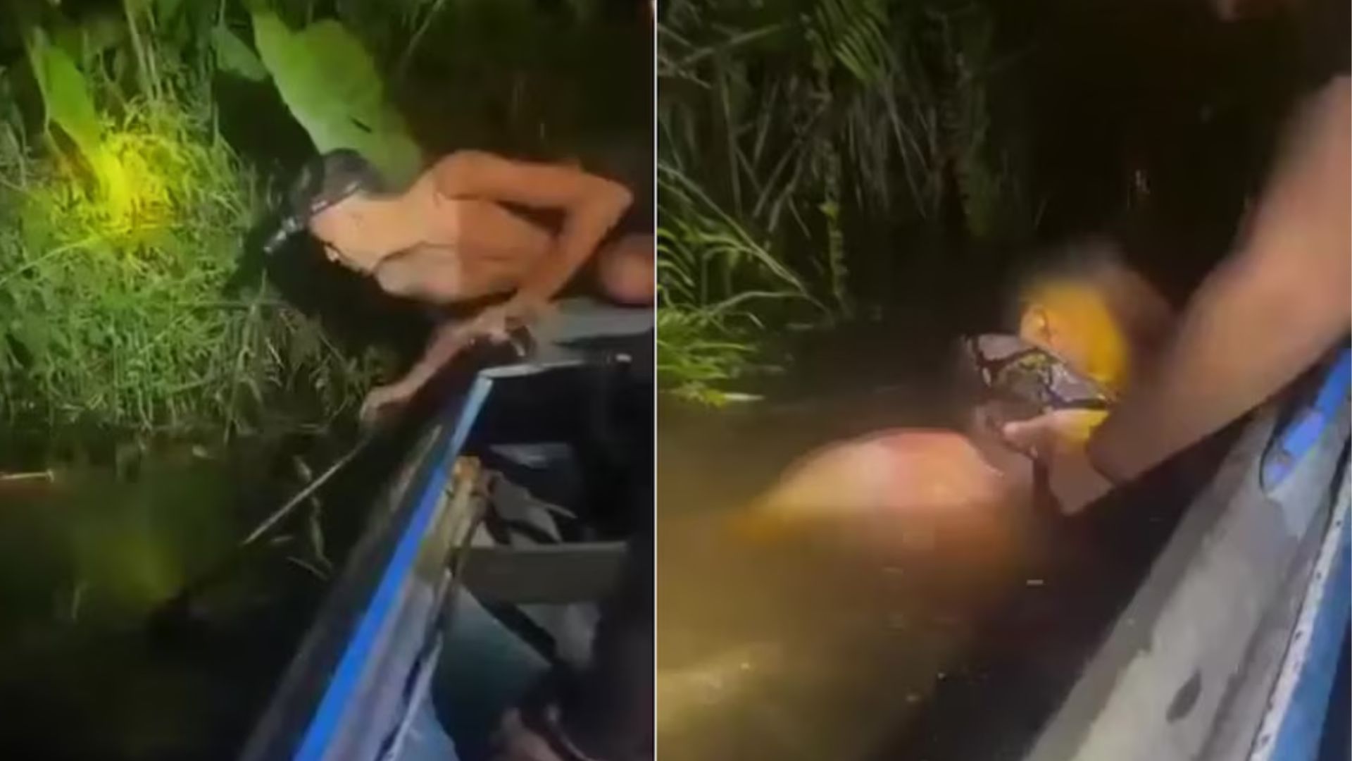 VIDEO: Hombre se tira al agua para capturar un pez y es atacado por anaconda