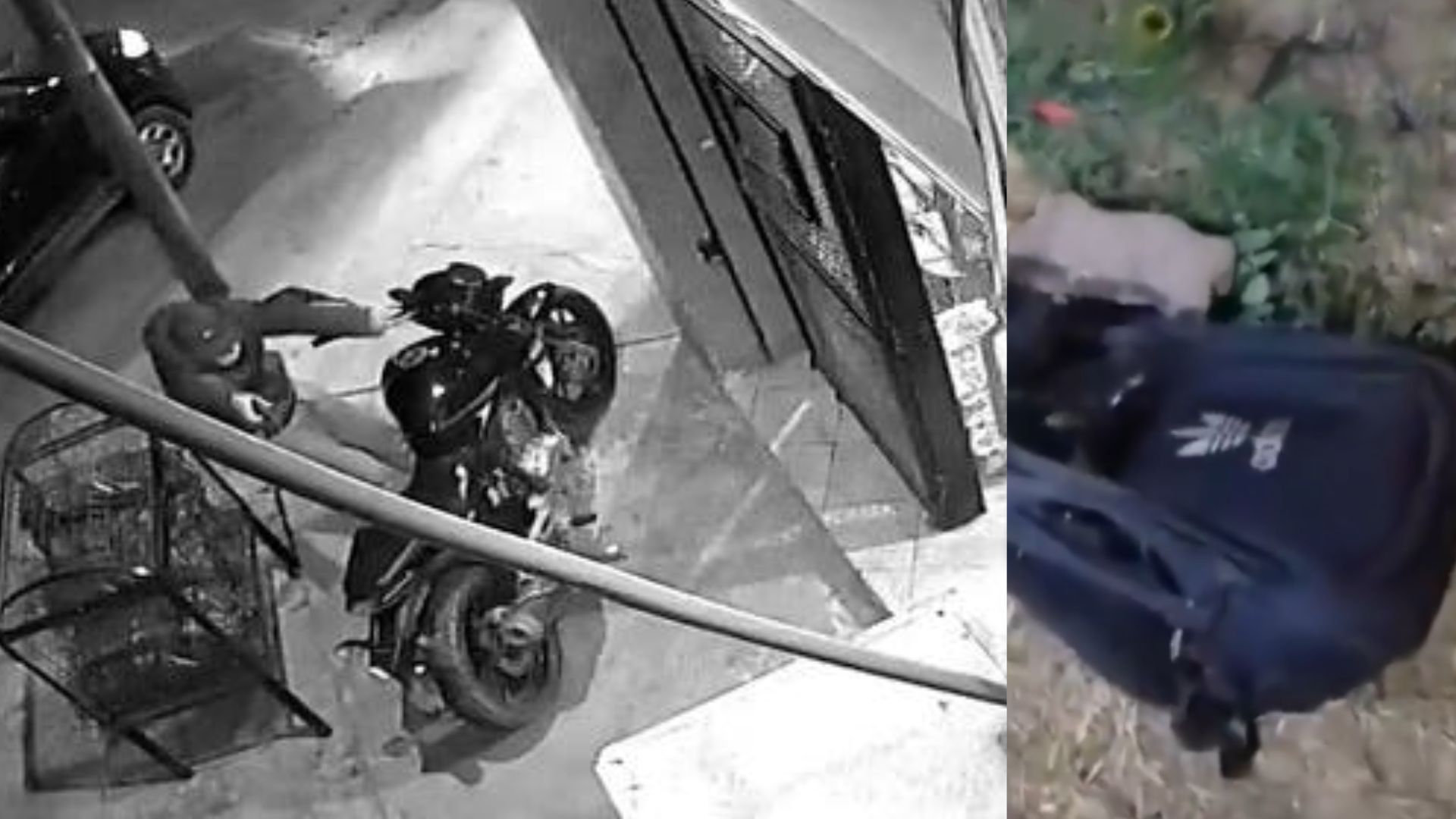 Video: Ladrón que 'quería llevar comida a casa' fallece tras robo