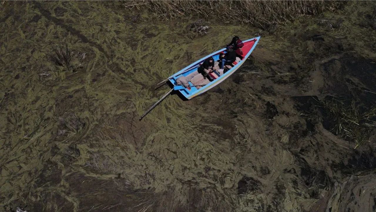 El lago Titicaca muere lentamente por altos niveles de contaminación