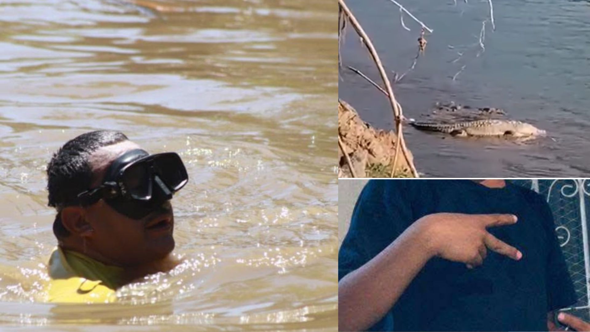Avistan varios cocodrilos durante búsqueda del cuerpo de Elvis: ¿Lo atacaron?