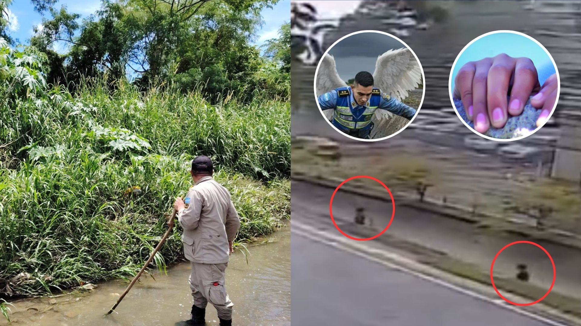 ¿Cómo está el niño que sobrevivió gracias al heroísmo de policía en SPS?