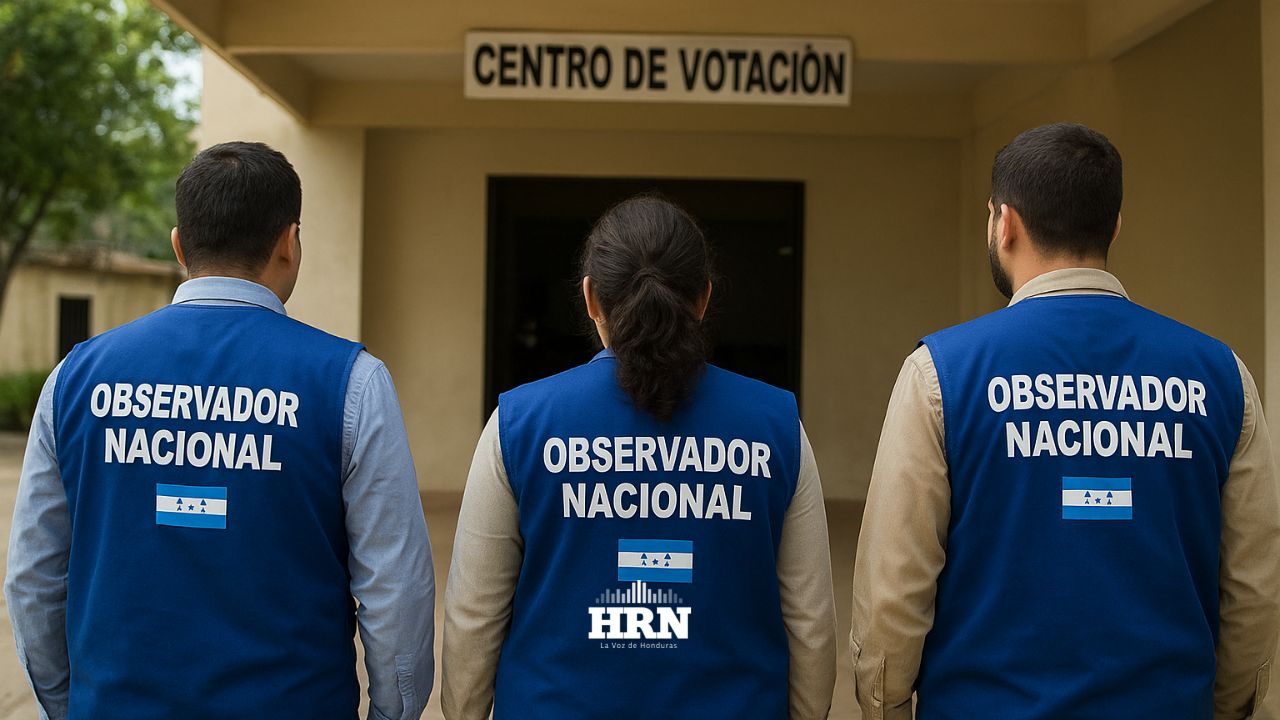 ¿Qué organizaciones buscan ser parte de observación nacional de elecciones?
