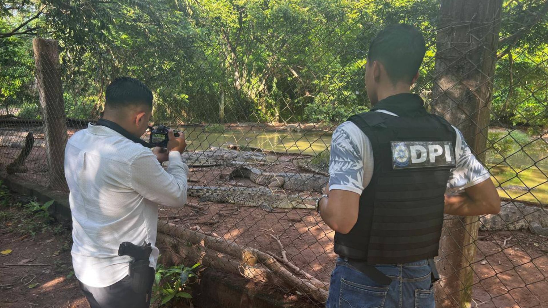 ¿Qué pasará con guardia que dio una muerte cruel a un perro en cocodrilera?