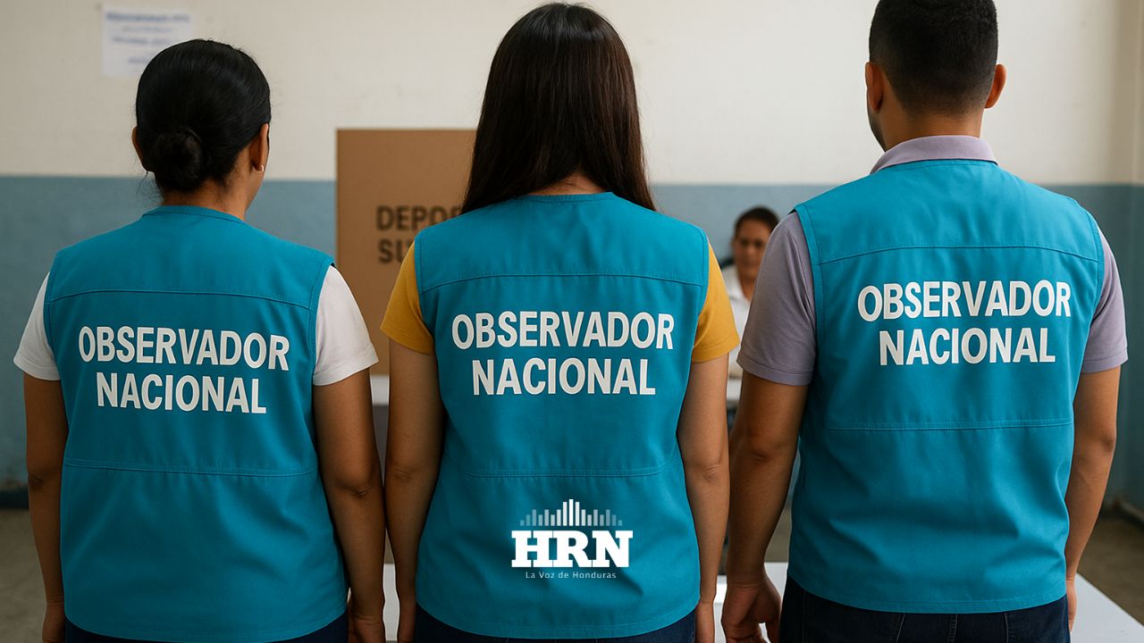 Aprueban por unaminidad reglamento de observación electoral para comicios generales