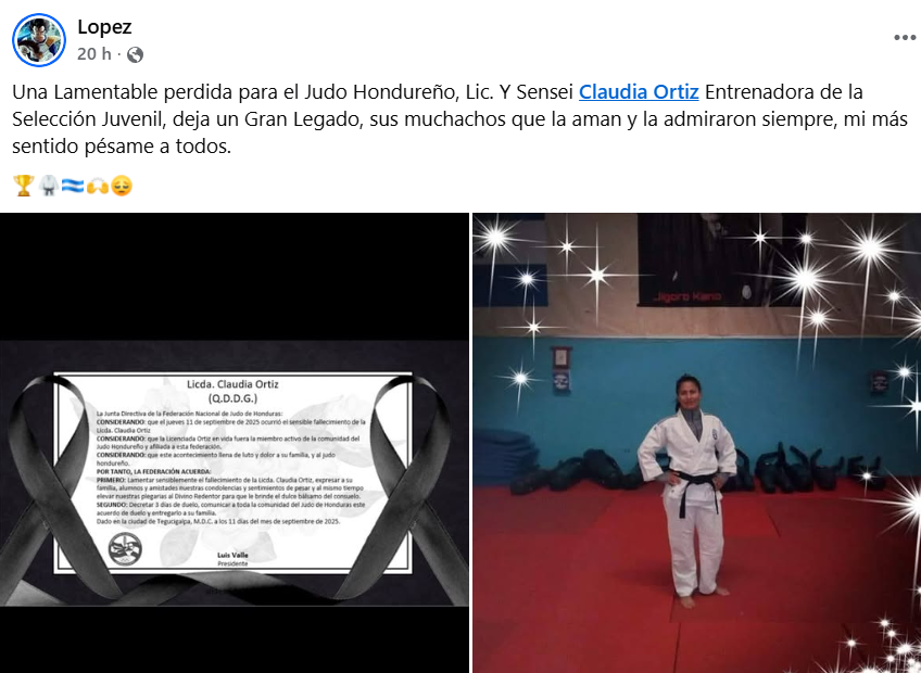 Captura de pantalla de la publicación