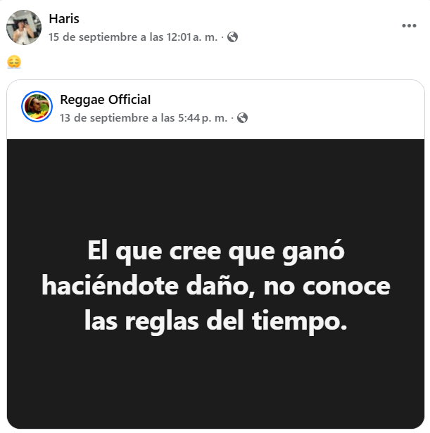 Captura de pantalla de la publicación