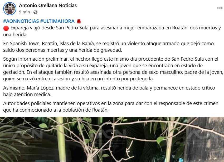 Captura de pantalla de la publicación