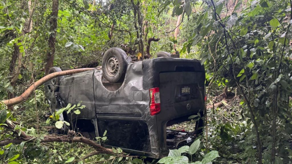 Imagen de cuerpo de nota