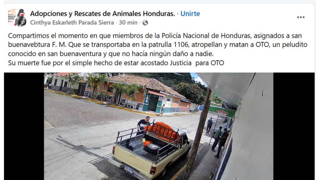 Imagen de cuerpo de nota