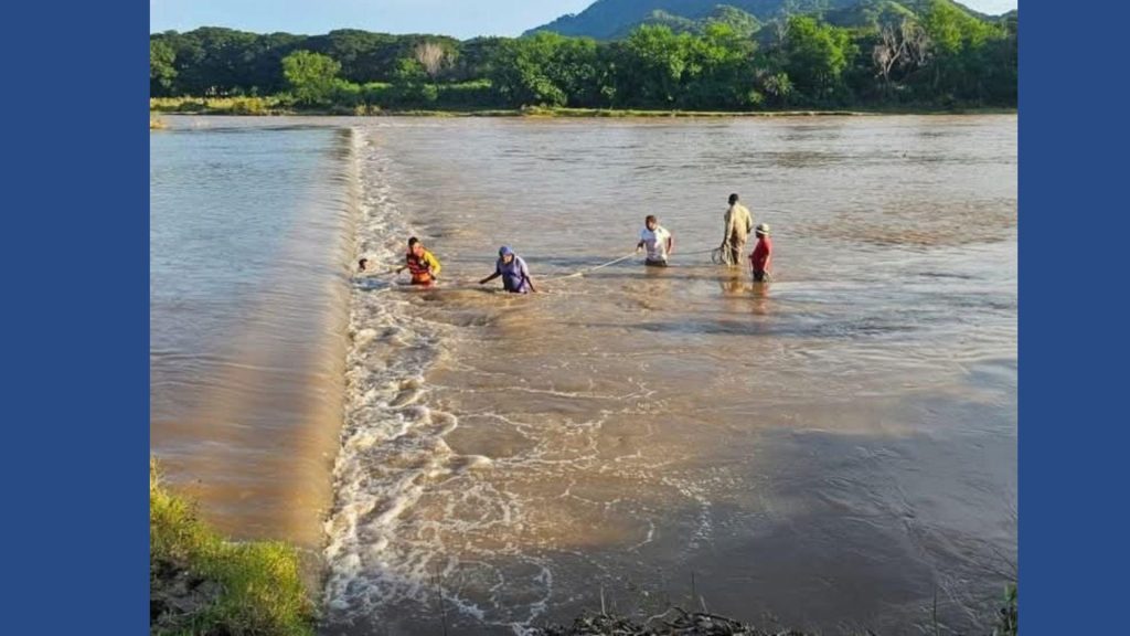 Imagen de cuerpo de nota