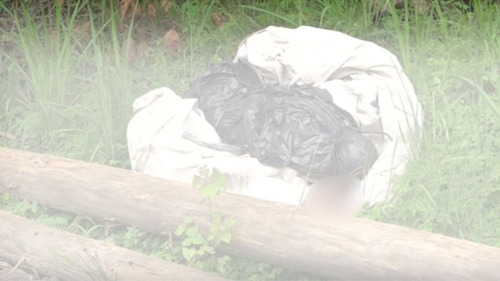 Imagen de cuerpo de nota