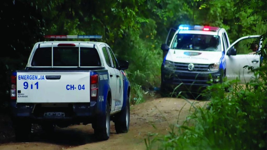 Imagen de cuerpo de nota